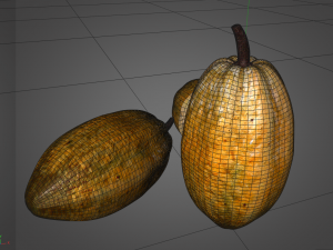 cocoa fruit Modello 3D