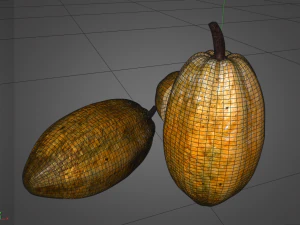 frutto di cacao Modello 3D