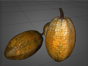 cocoa fruit Modello 3D