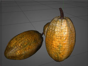 frutto di cacao Modello 3D