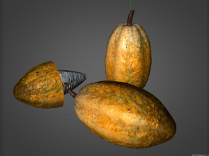 cocoa fruit Modello 3D