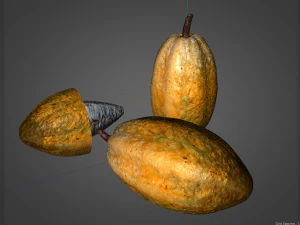 frutto di cacao Modello 3D