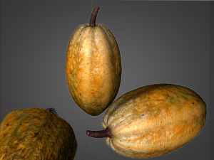 cocoa fruit Modello 3D