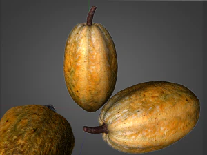 frutto di cacao Modello 3D