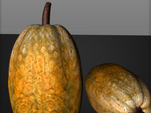 cocoa fruit Modello 3D
