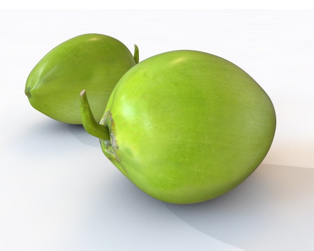 coconut green Modelo 3D .c4d .max .obj .3ds .fbx .stl .blend 