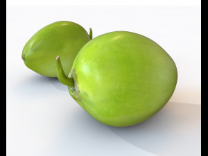 coconut green 3D Model