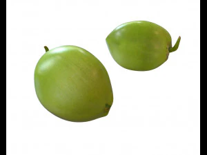 coco verde Modelo 3D