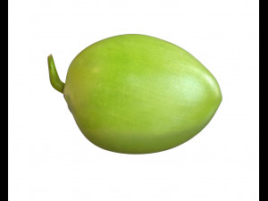 coconut green Modelo 3D