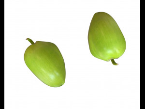 coconut green Modelo 3D