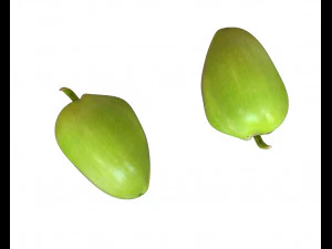 coco verde Modelo 3D