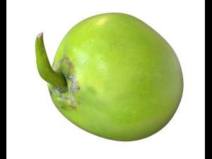 coco verde Modelo 3D