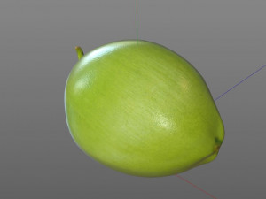 coconut green Modelo 3D