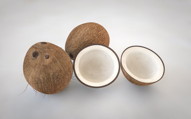 coconut shell inner 3D 模型 .c4d .max .obj .3ds .fbx .stl .blend