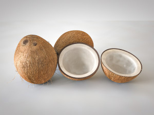 coconut shell inner 3D 模型