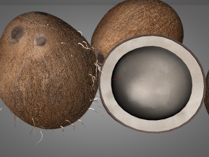 coconut shell inner 3D 模型