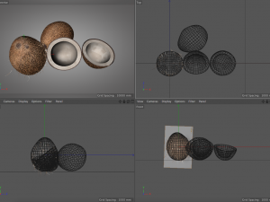 coconut shell inner 3D 模型