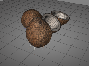 coconut shell inner 3D 模型