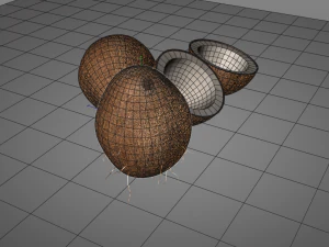 coconut shell inner 3D Model