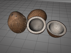coconut shell inner 3D 模型