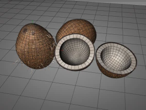 coconut shell inner 3D Model