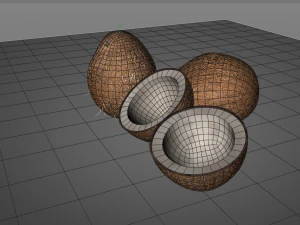 coconut shell inner 3D Model