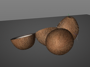 coconut shell inner 3D 模型