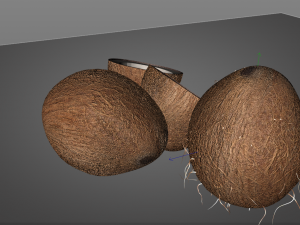 coconut shell inner 3D 模型