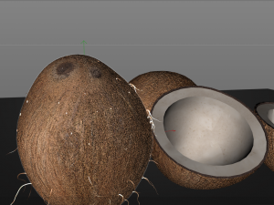 coconut shell inner 3D 模型