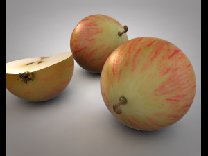crab apple 3Dモデル
