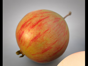 crab apple 3Dモデル