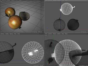 crab apple 3Dモデル