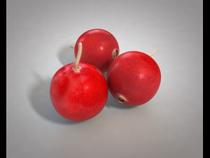 crane berry berries 3D Model