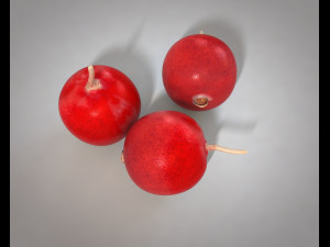 crane berry berries 3D 模型