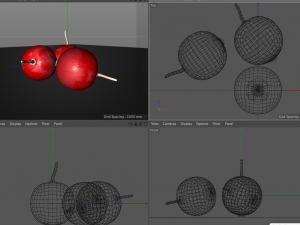 crane berry berries 3D 模型
