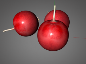 crane berry berries 3D 模型
