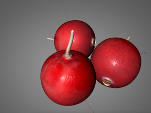 crane berry berries 3D 模型