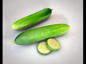 cucumber 3D Model