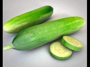 cucumber 3D Model
