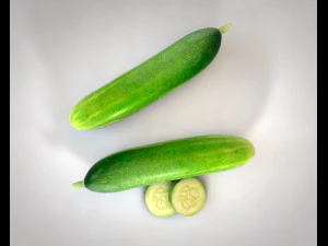 cucumber 3D Model