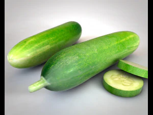 cucumber 3D Model