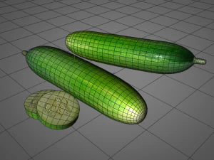 cucumber 3D Model