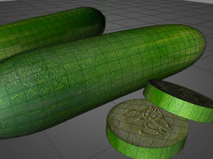 cucumber 3D Model