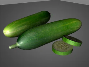 cucumber 3D Model