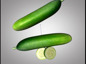 cucumber 3D Model