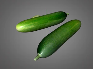 cucumber 3D Model