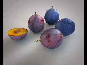 damson plum 3D 模型