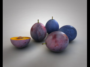 damson plum 3D 模型