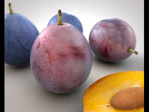 damson plum 3D 模型