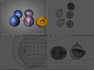 damson plum 3D 模型